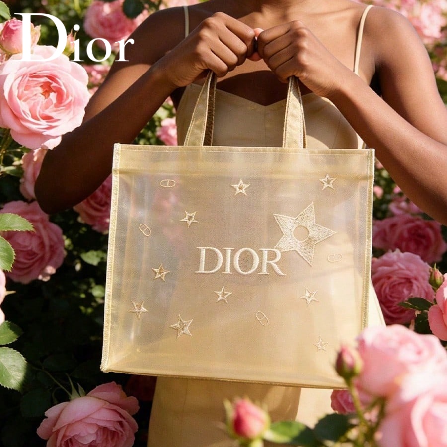 Luxury Skincare Brand - Sac Christian Dior, sac à main
